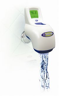 4momsthermomether1.jpg