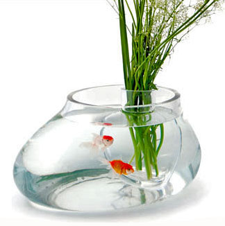 aquarium-vase.jpg