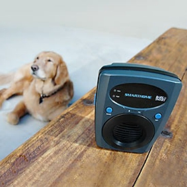 bark-smart.jpg