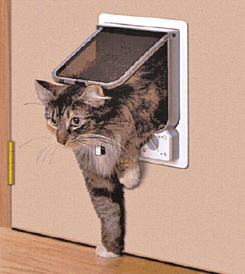 electromagnetic-pet-door.jpg