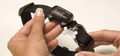 microid.jpg