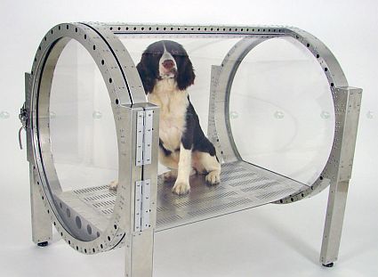 o2-dog_48.jpg