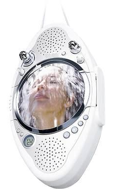 showermirror.jpg