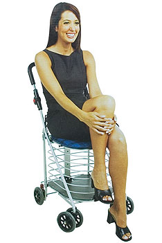 sit-down-cart.jpg