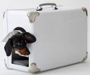 Bolsa da Bosa para passear com o cachorro