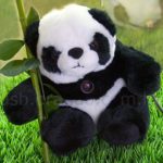 USB Panda Web Cam