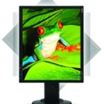 Monitor de LCD MultiSync  EA190M da NEC