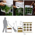Vertical Herb Garden: seu jardim na vertical