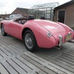 MG 1959 Pink