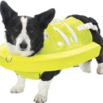 Colete salva vidas para cachorros