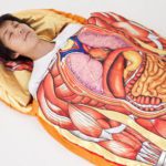 Sacos de dormir modernos: faraó, atum e corpo humano