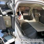 Kurgo: protegendo os animais de queda no banco traseiro do carro