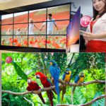 TV OLED  de 55