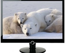 monitor LCD 2230Fh da AOC