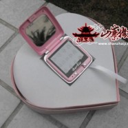 Celular Barbie P520