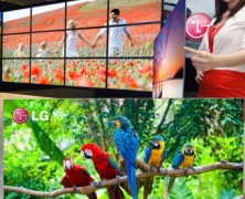 TV OLED  de 55″ da LG: maior TV OLED do mundo