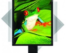 Monitor de LCD MultiSync  EA190M da NEC