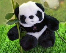 USB Panda Web Cam