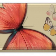 Novo Netbook da HP com design de Vivienne Tam